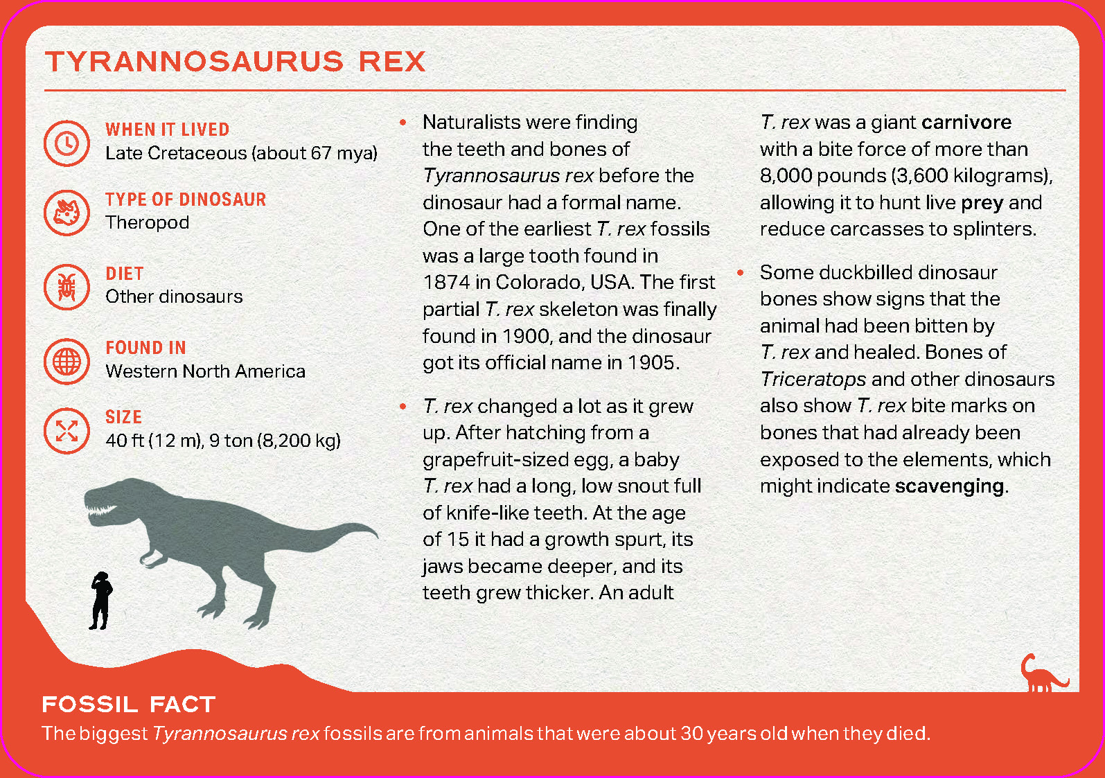 The Dinosaur Deck - Image 3