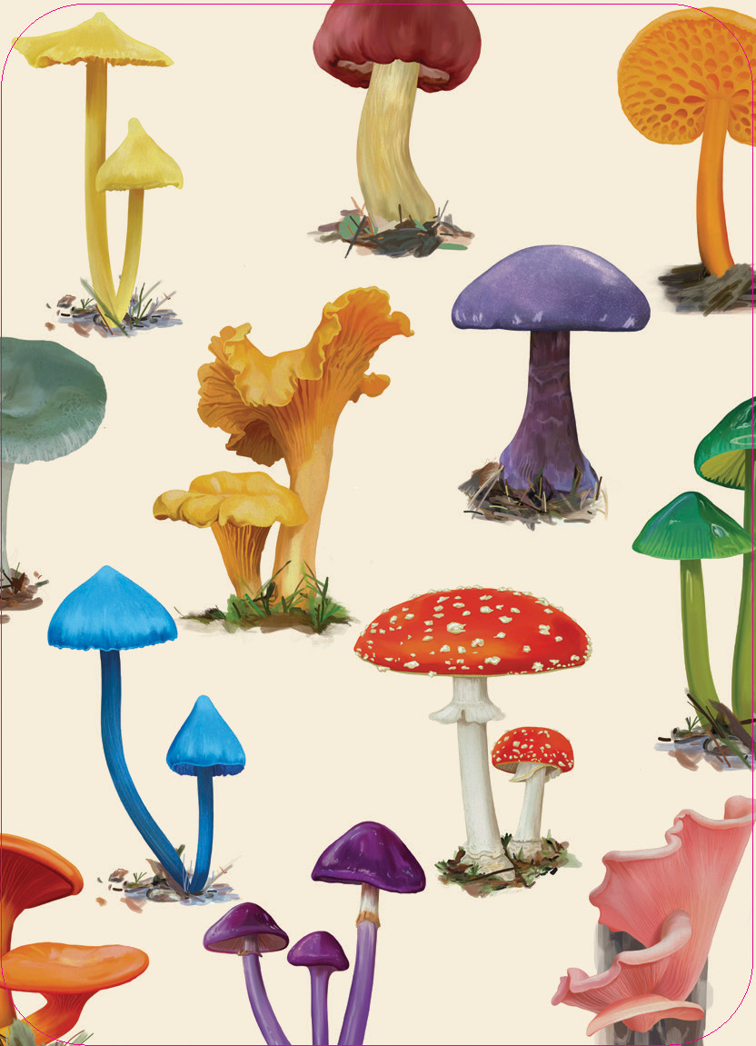 Mushrooms of the Wild - Image 2