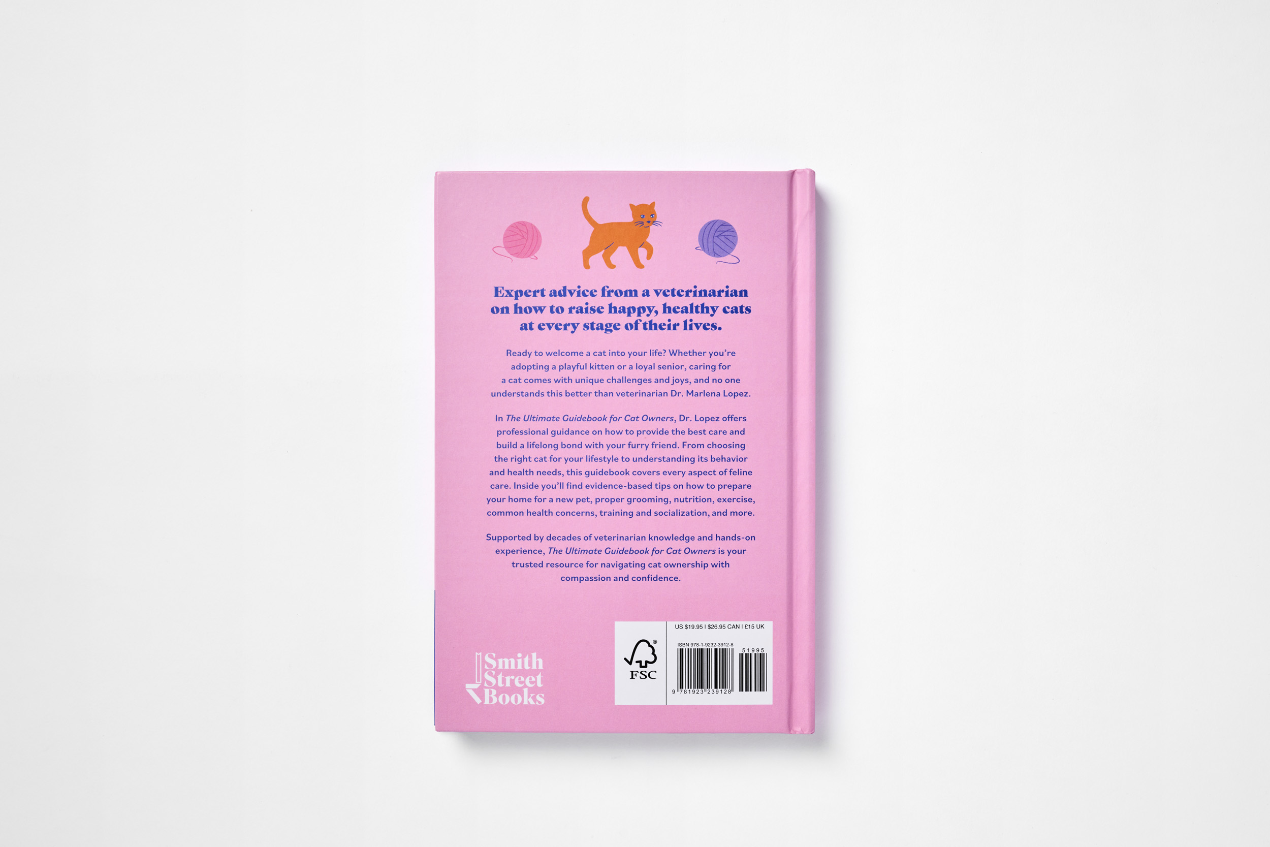 The Ultimate Guidebook for Cat Owners (from a veterinarian) - Image 2