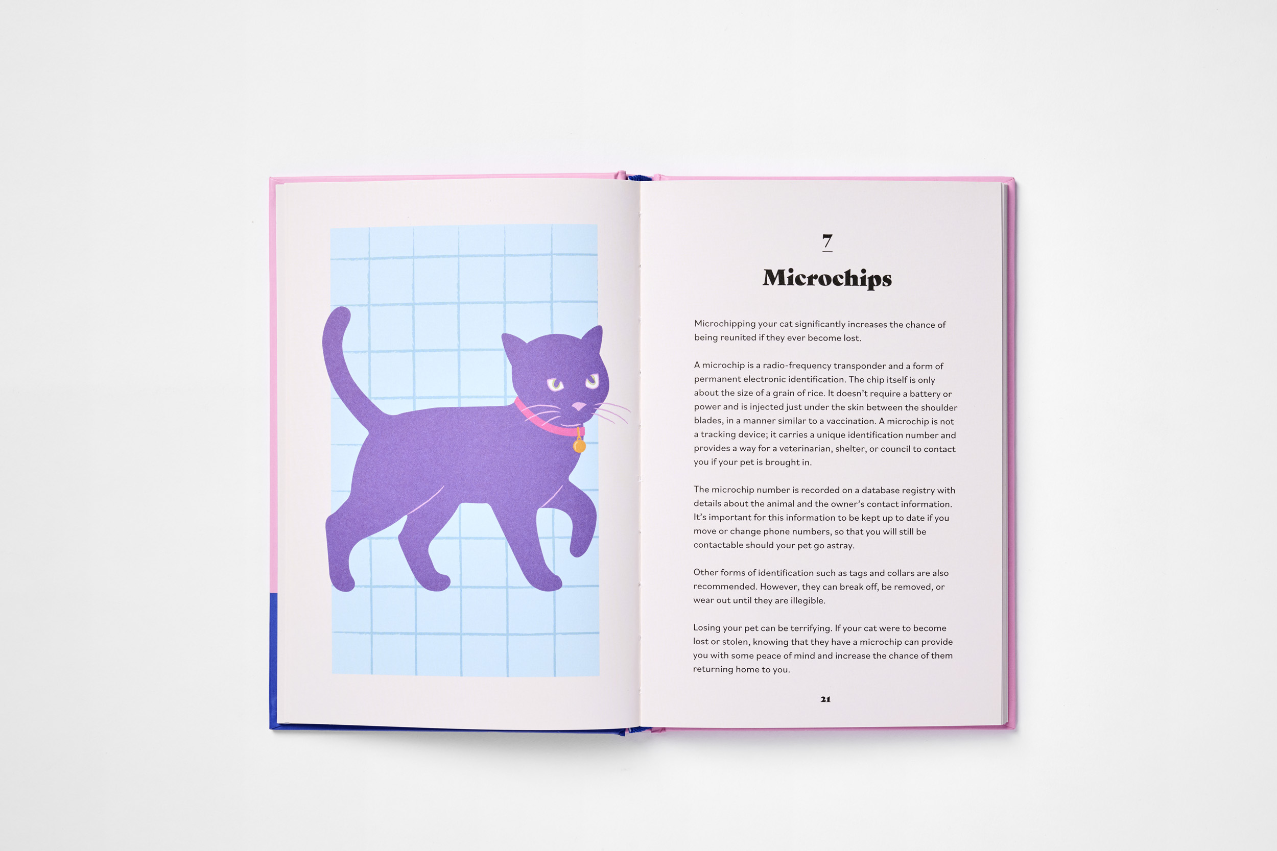 The Ultimate Guidebook for Cat Owners (from a veterinarian) - Image 3