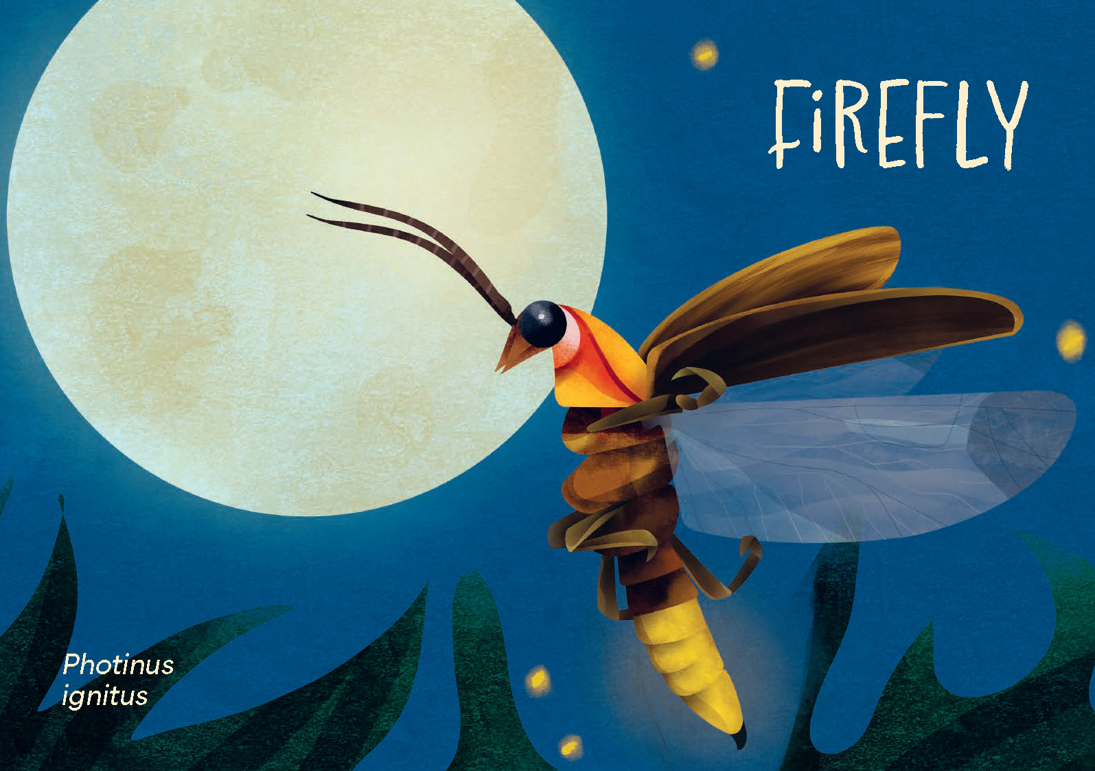 Minibeasts - Image 4