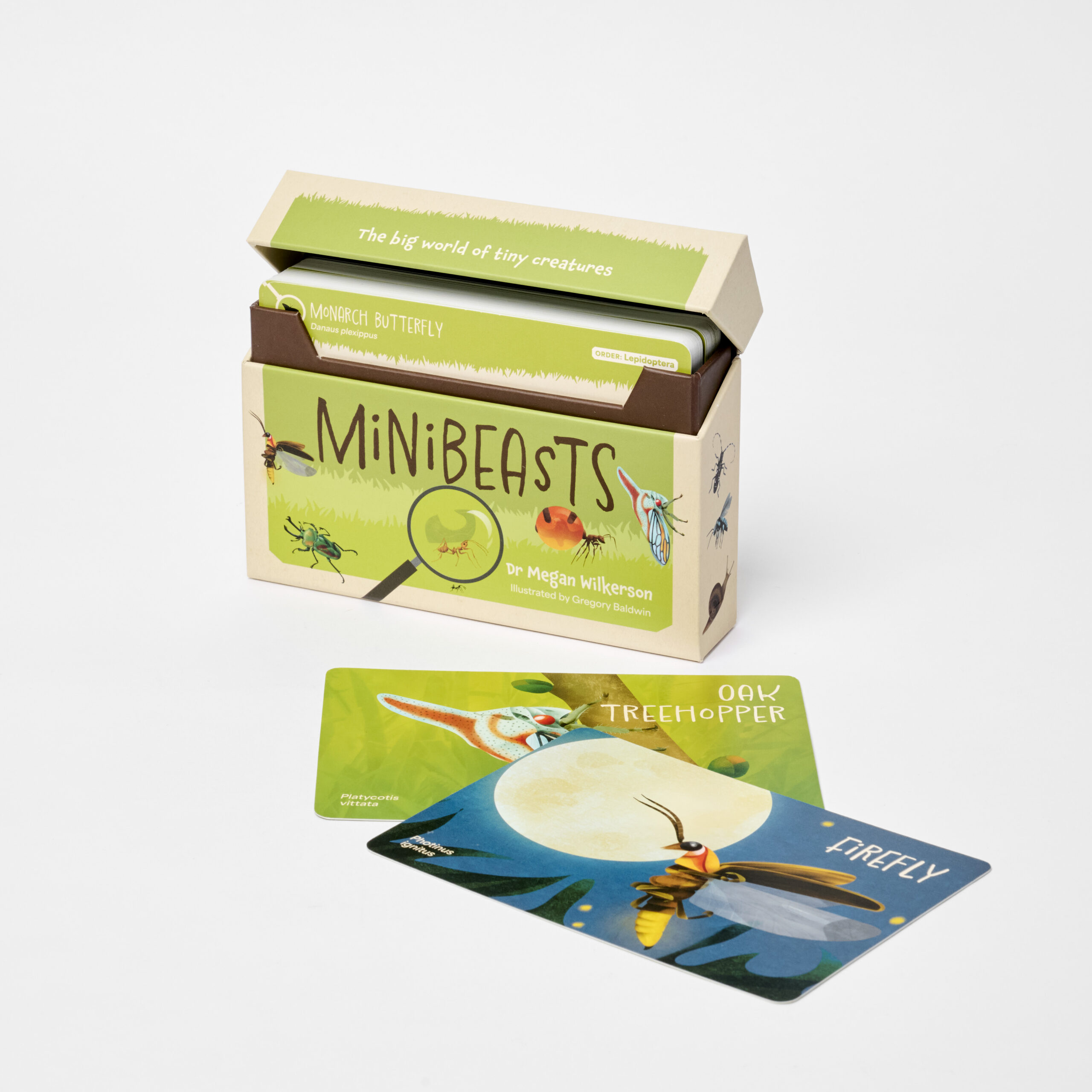 Minibeasts