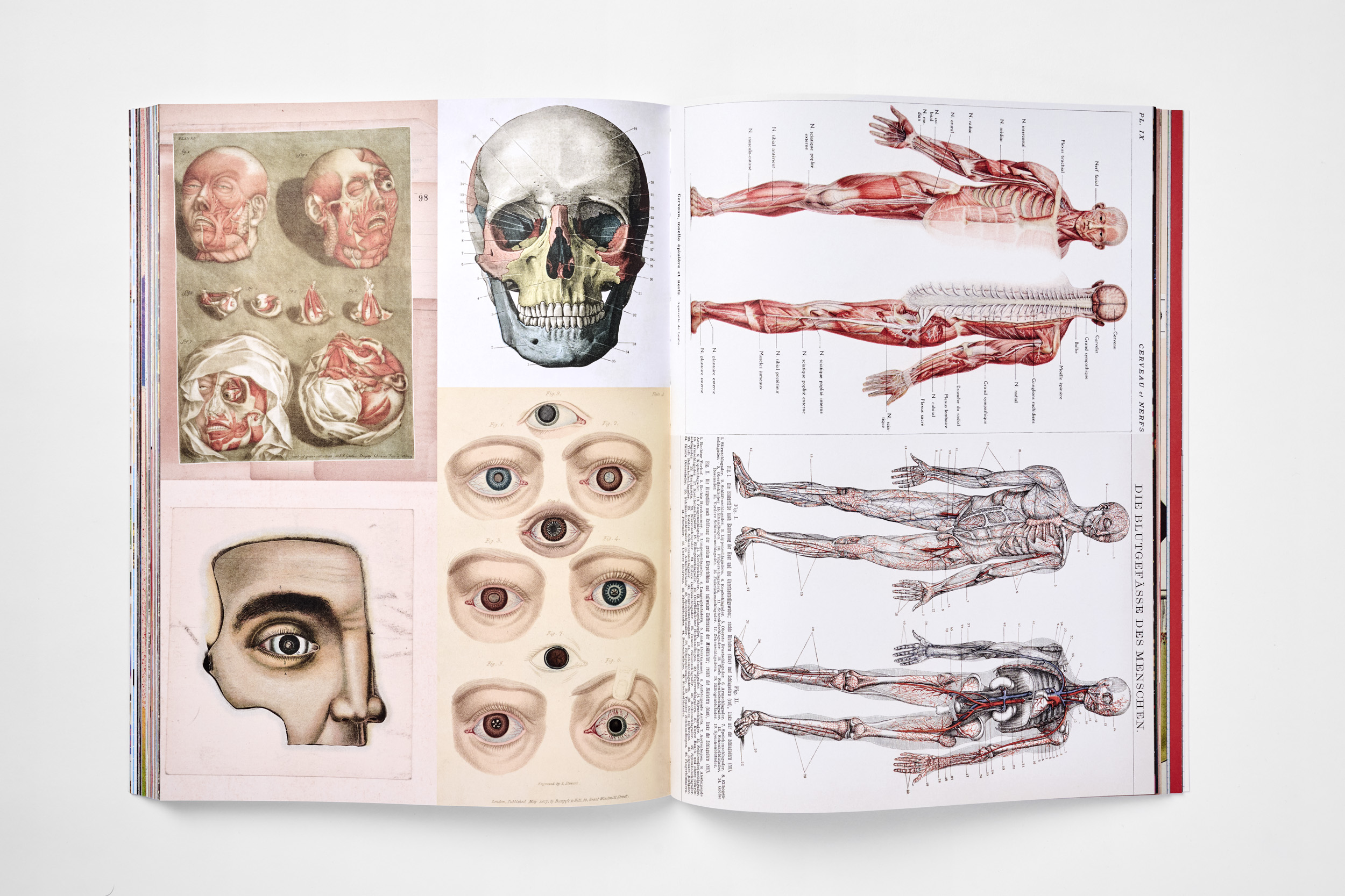 Cut-Out Curiosities: Space, Science & Technology | A Collage Book - Image 5