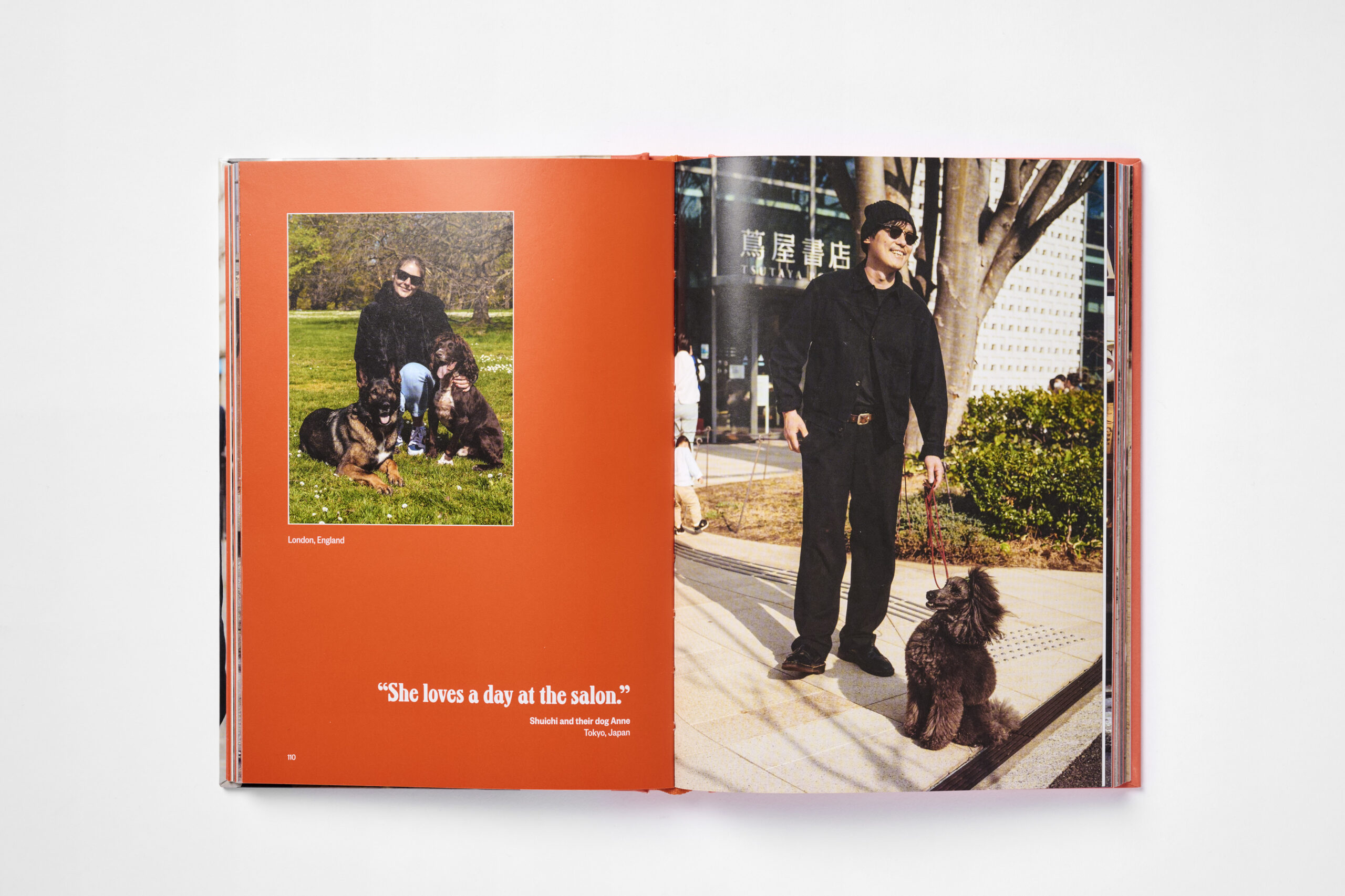 Dog’s Best Friend - Image 3