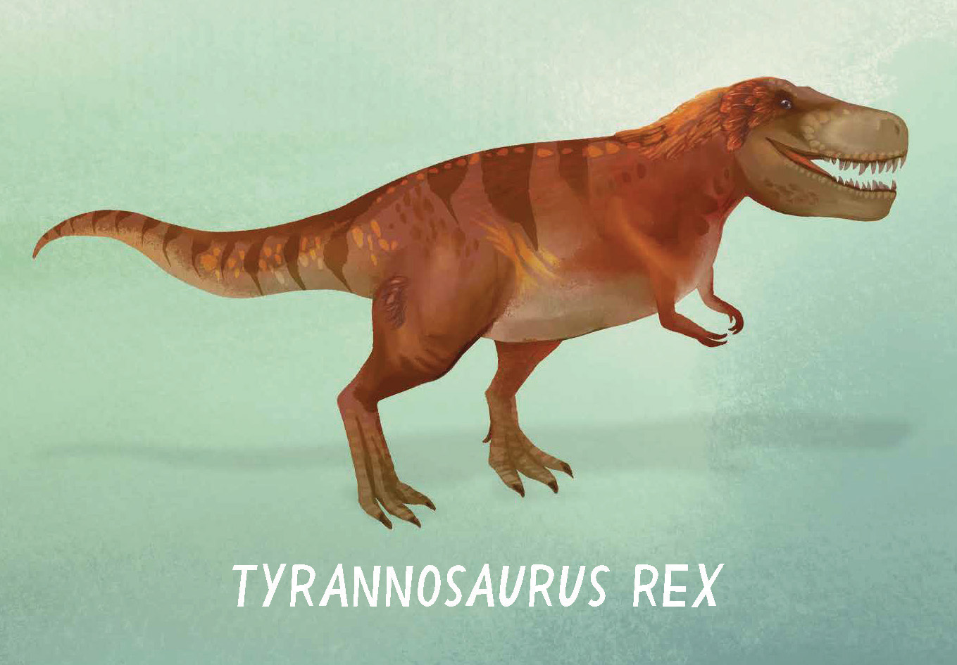 Snap! Dinosaurs - Image 6
