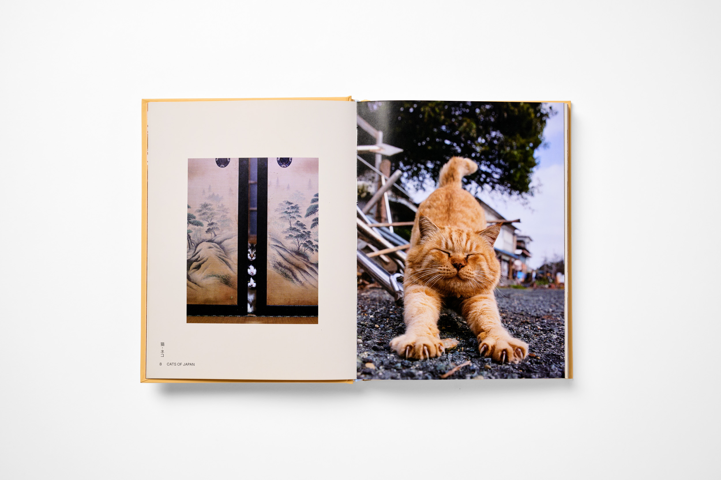 Neko - Image 3