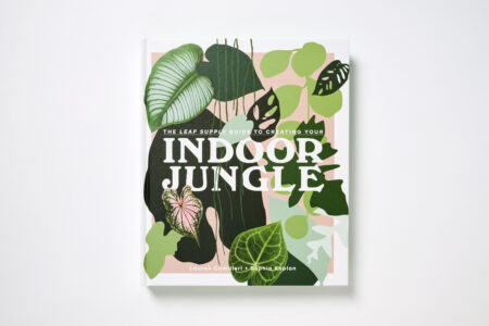 The Leaf Supply Guide to Creating Your Indoor Jungle