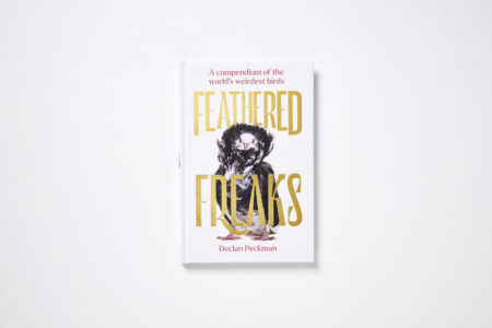 Feathered Freaks