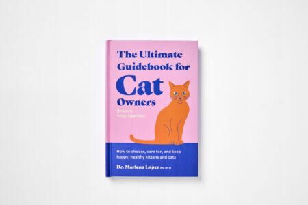 The Ultimate Guidebook for Cat Owners (from a veterinarian)