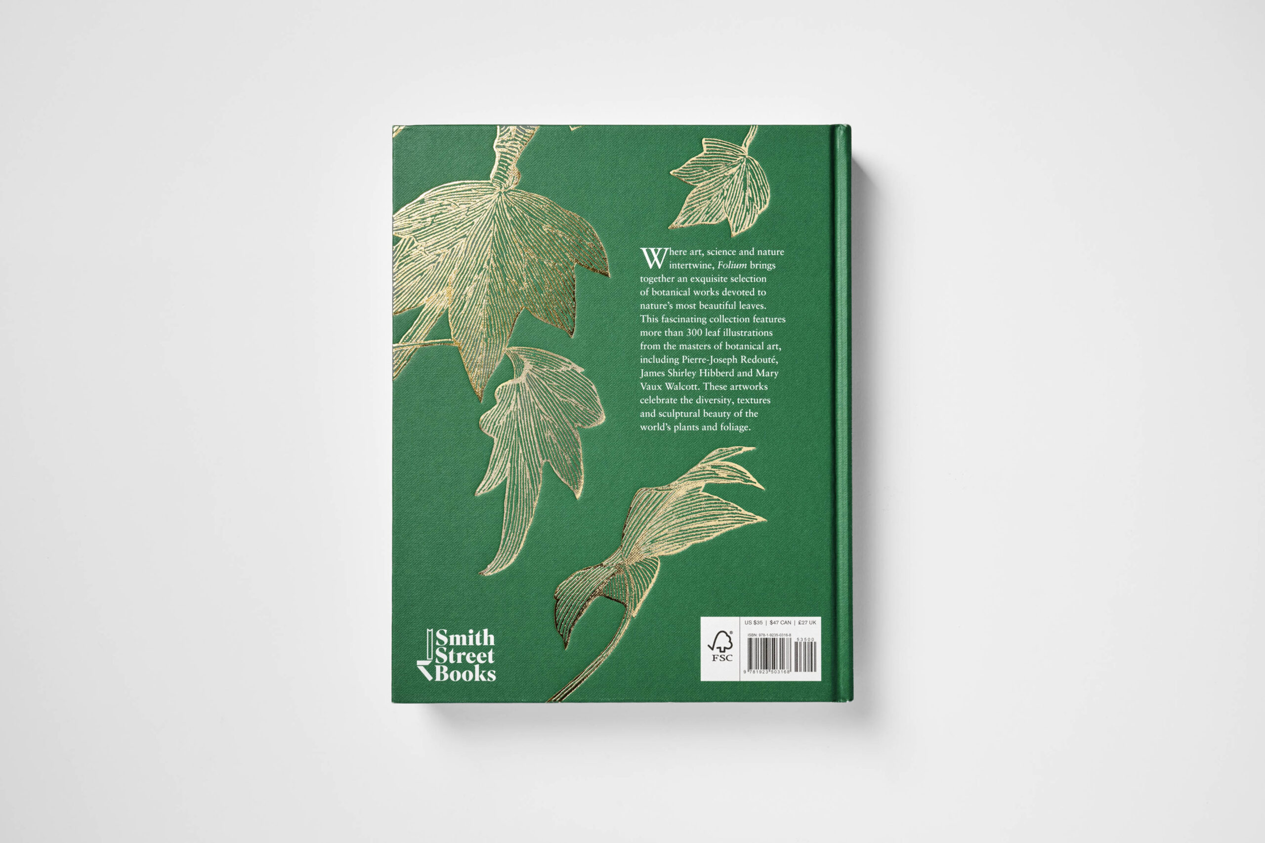 Folium - Image 2