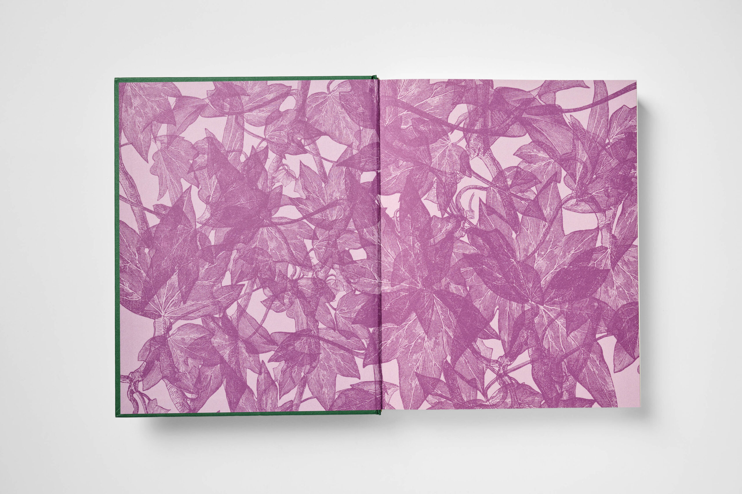 Folium - Image 3
