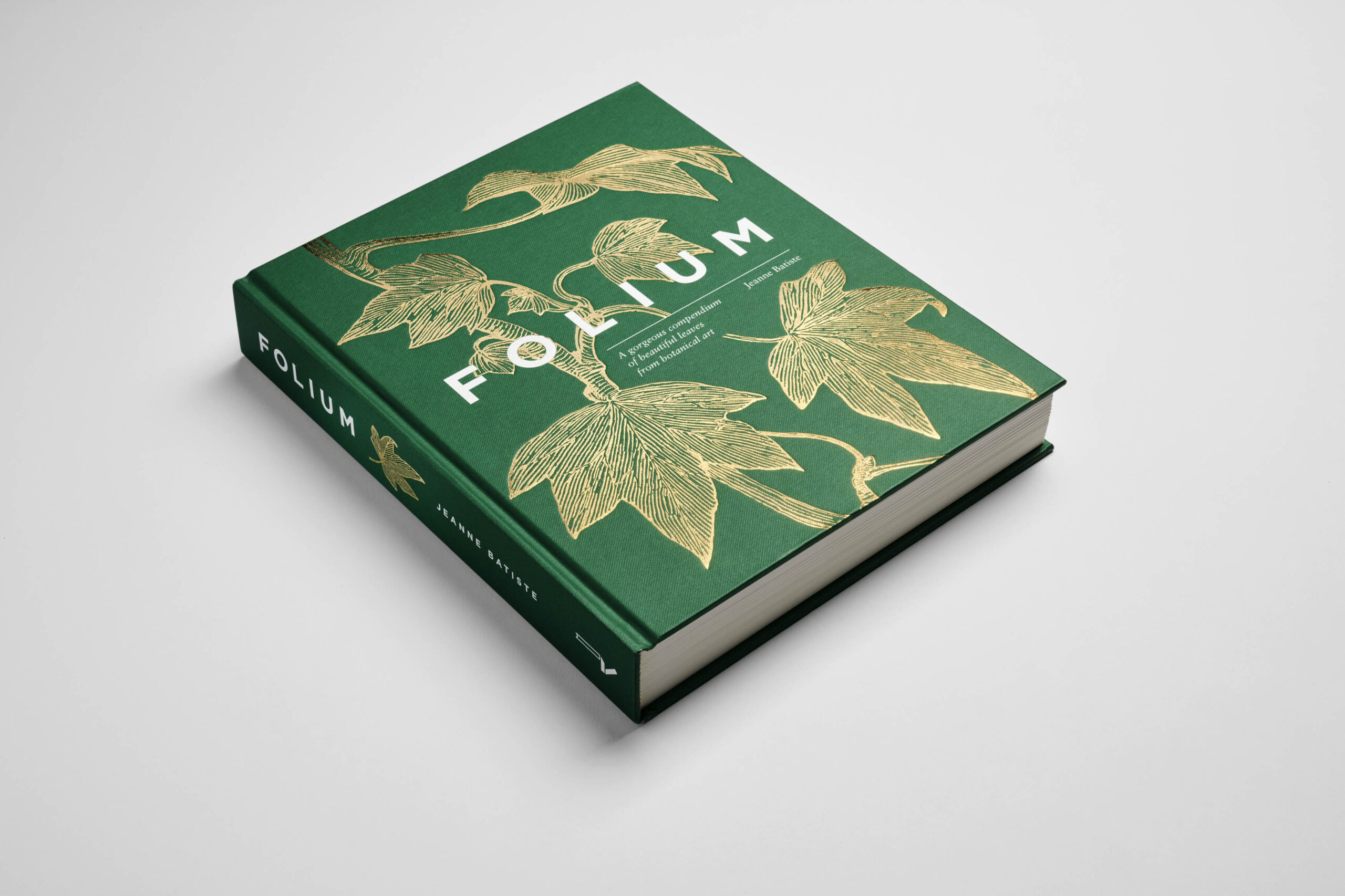 Folium - Image 7