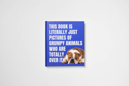 This Book is Literally Just Pictures of Grumpy Animals Who Are Totally Over It