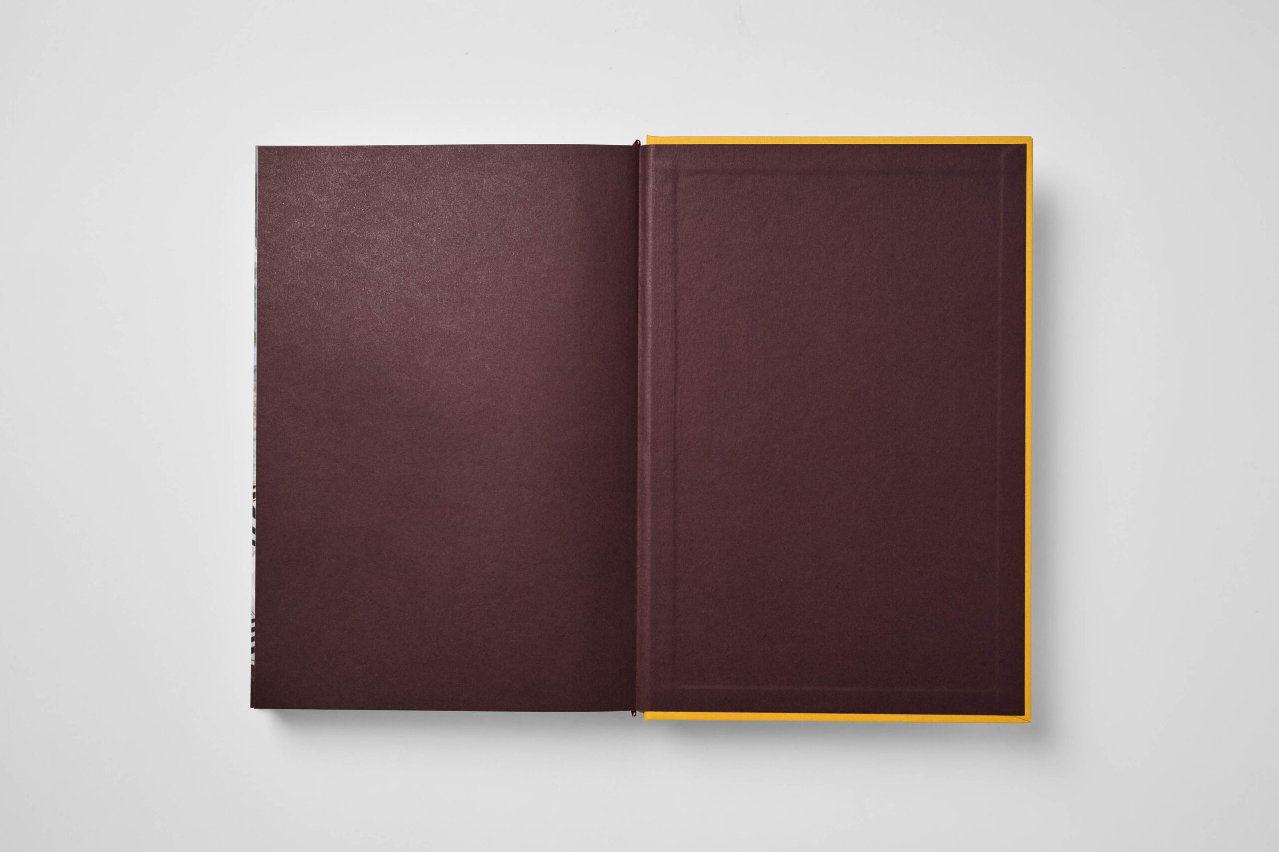 Vaghaar: A Gujarati cookbook - Image 4